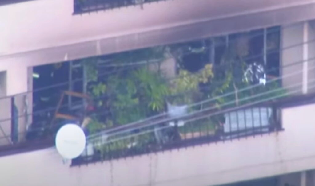 林家ペー パー子 自宅 火事 出典：ANNnewsCHより